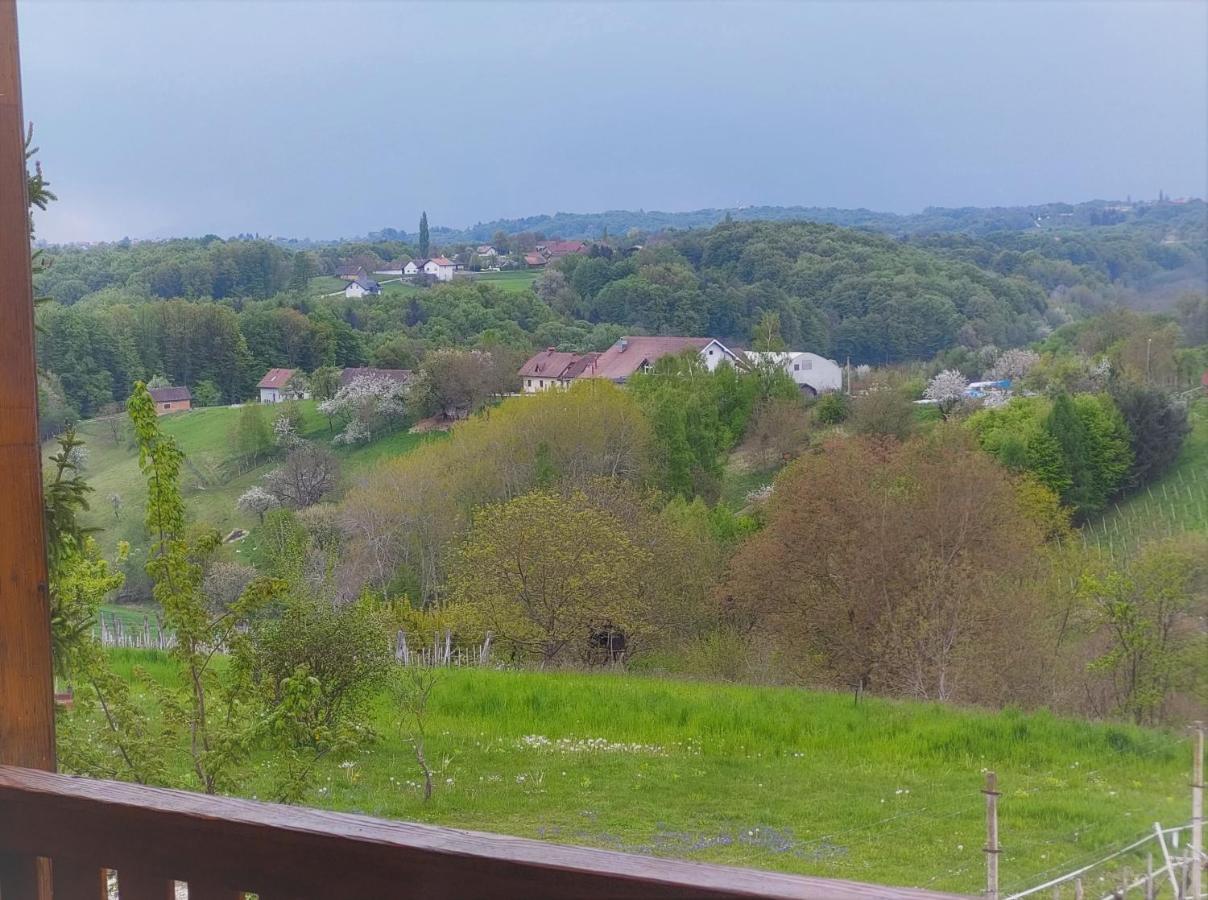 Apartma-Spa Natura Sveti Jurij ob Scavnici Exteriér fotografie