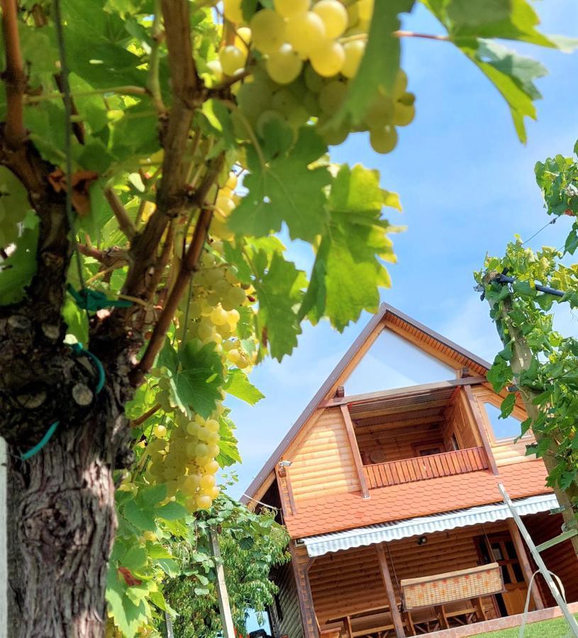 Apartma-Spa Natura Sveti Jurij ob Scavnici Exteriér fotografie