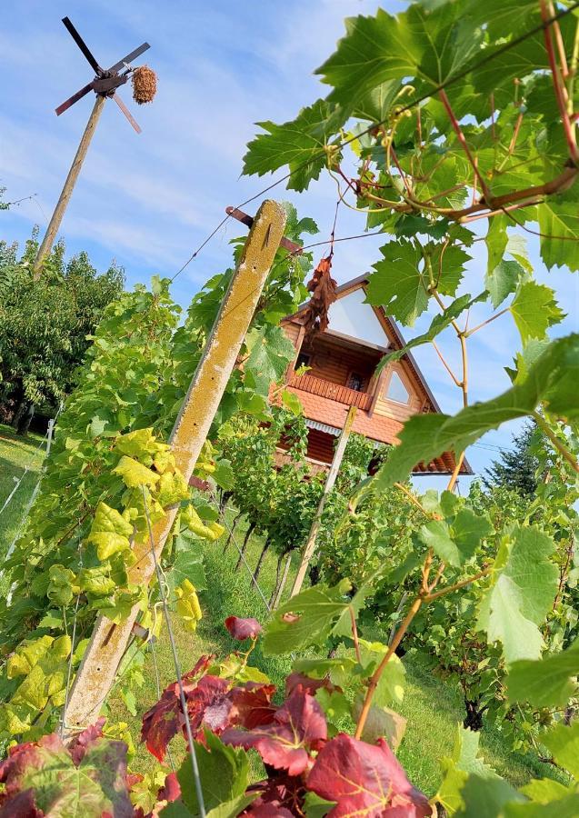 Apartma-Spa Natura Sveti Jurij ob Scavnici Exteriér fotografie